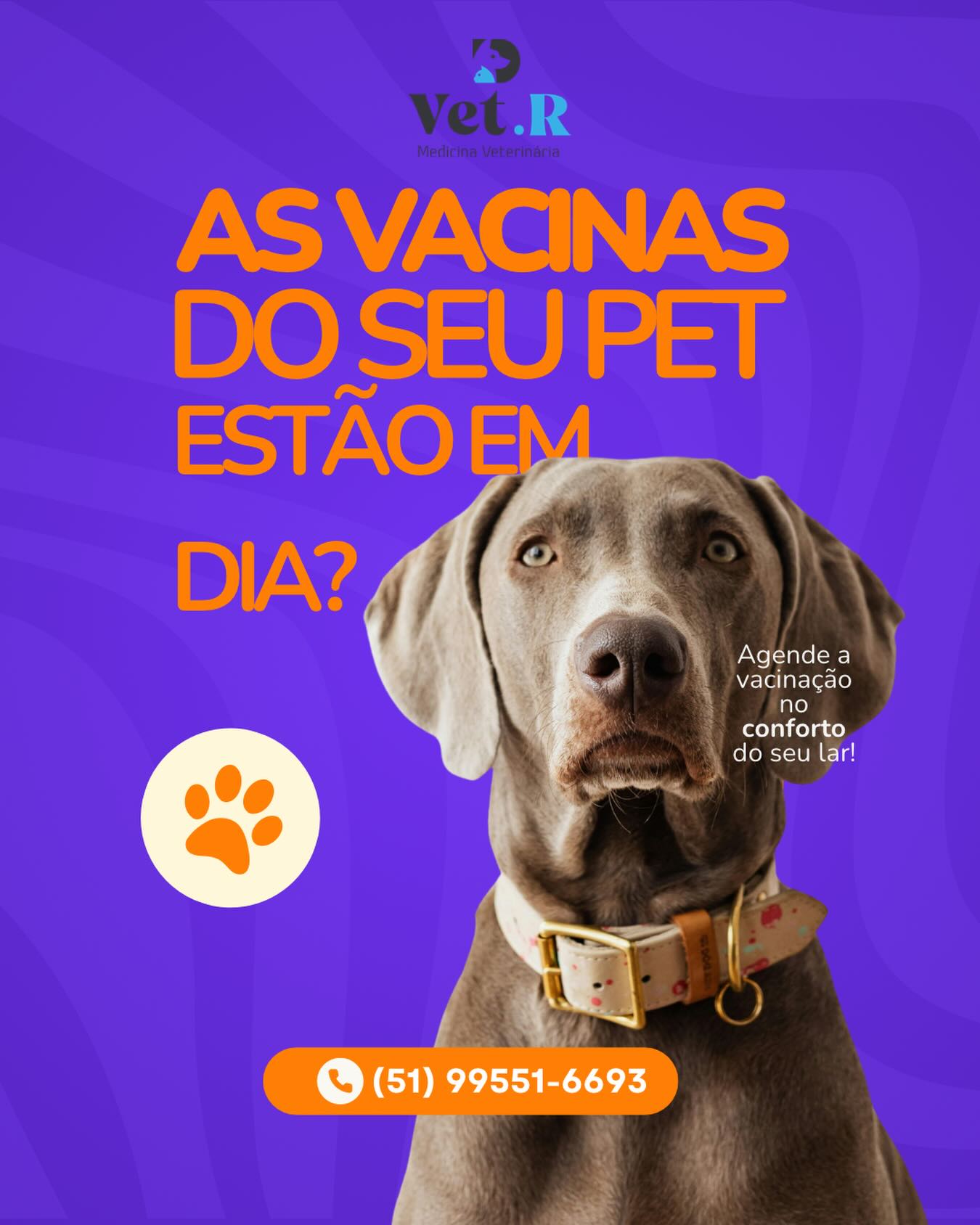 Arte da Vet.R: As vacinas do seu pet estão em dia?