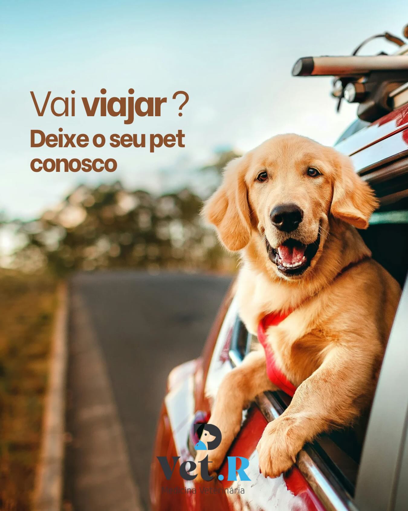 Arte da Vet.R: Vai viajar? Deixe o seu pet conosco