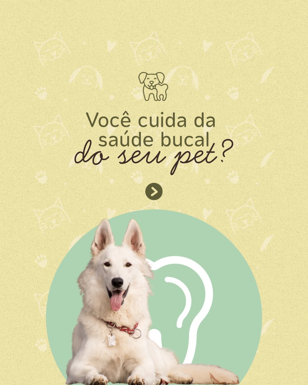 Post: Você cuida da saúde bucal do seu pet?